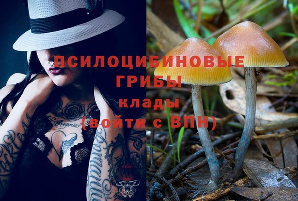 соль ск Балабаново