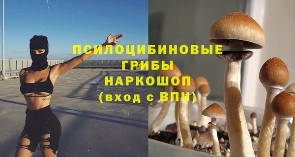 соль ск Балабаново