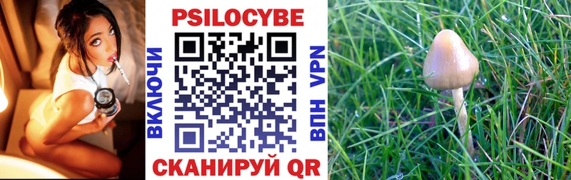 где продают   Бирюсинск  Галлюциногенные грибы MAGIC MUSHROOMS 